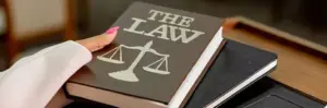 Cual Es El Campo De Estudio De Derecho